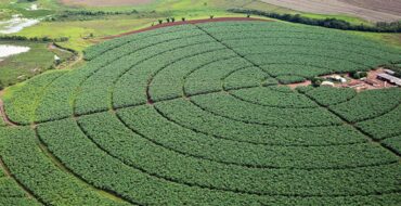Agroindústria não pode segregar atividades para apuração de contribuição, decide Carf